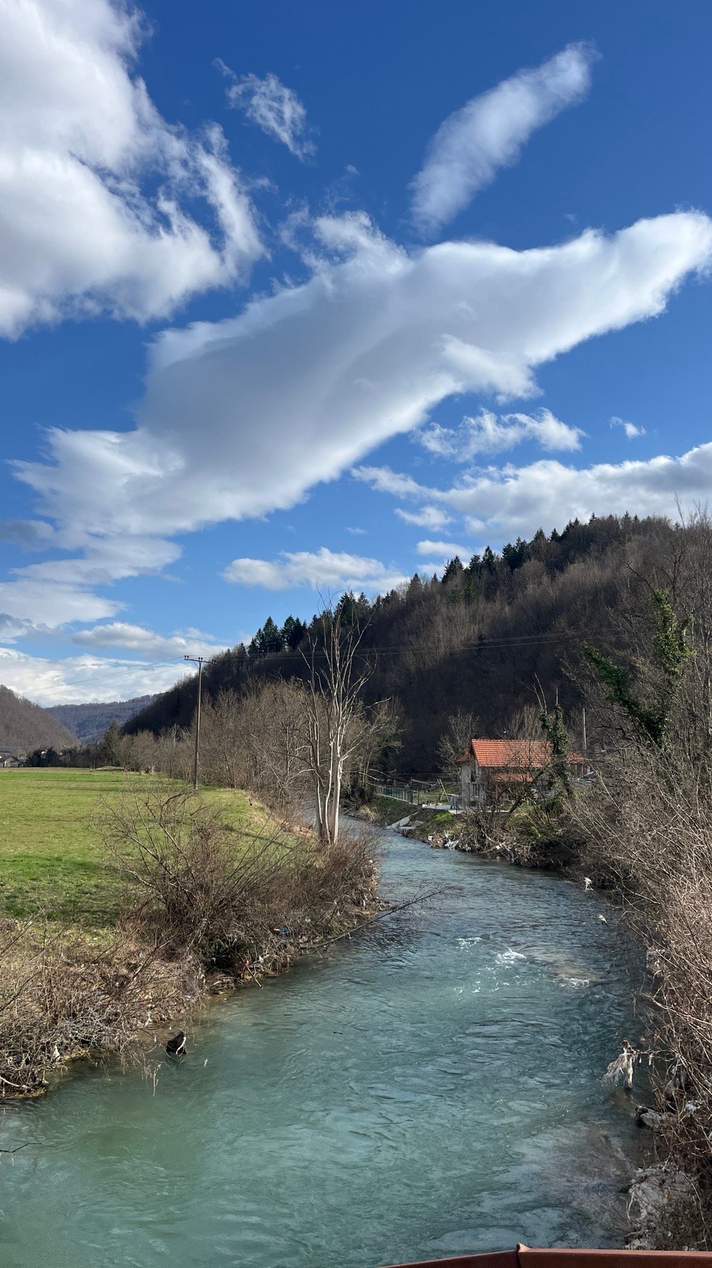 Foto dana : Grabovica