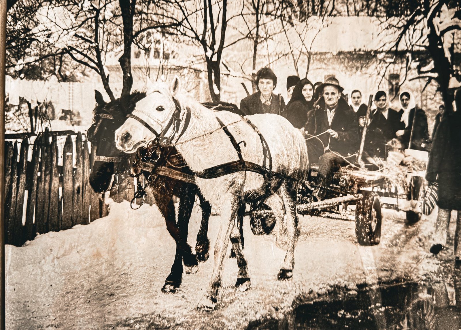 “KOTOR VAROŠ NEKAD” – Ponedjeljak je pijačni dan